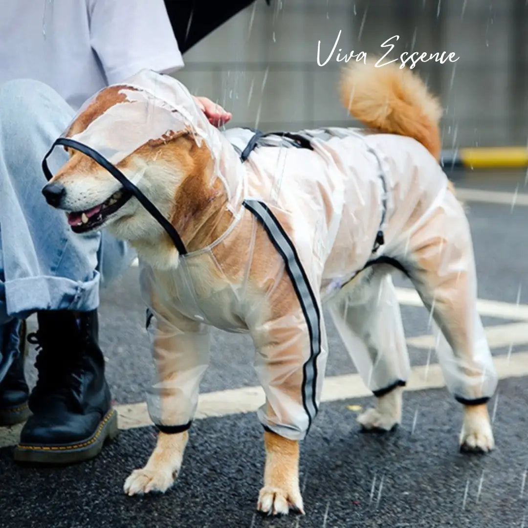 Duurzame all-weather hondenkleding met een stevige pasvorm rond de poten en een beschermend transparant smart vizier - vivaessencepet