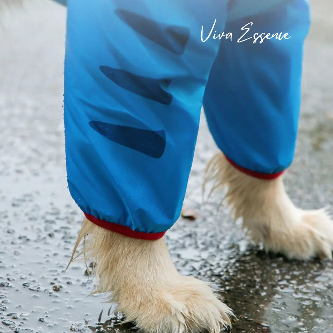 Speelse regenjas voor grote honden met leuke dino-stekels die de hond droog houdt tijdens buiten spelen - vivaessencepet