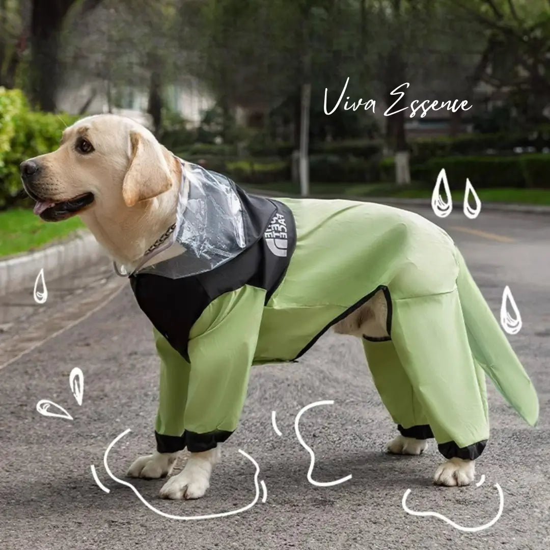 Volledige buikbescherming van deze waterdichte jas voor grote honden voorkomt de natte-hondenlucht - vivaessencepet