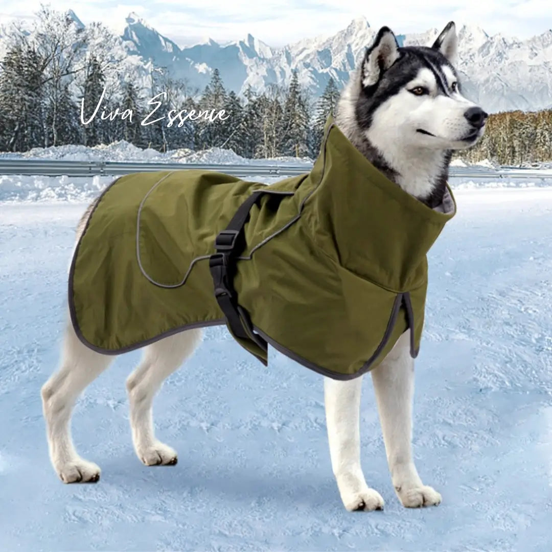 Interior view of the warm dog coat revealing cozy cotton lining for winter insulation - vivaessencepet