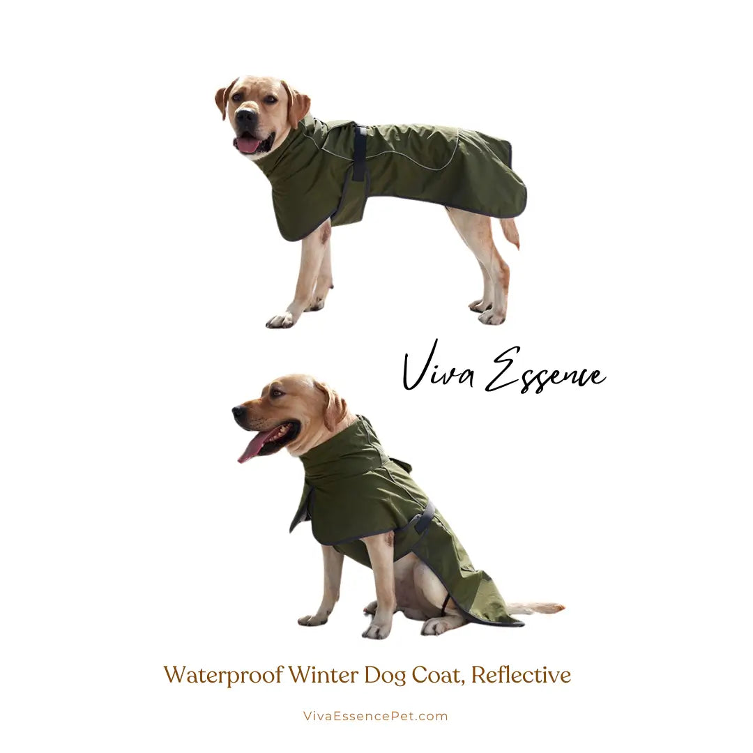 Waterproof Winter Dog Coat, Reflective, Warm Cotton Jacket - Viva Essence