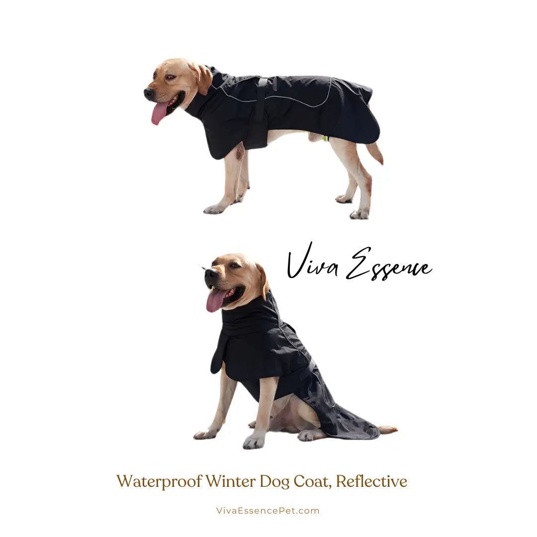 Waterproof Winter Dog Coat, Reflective, Warm Cotton Jacket - Viva Essence