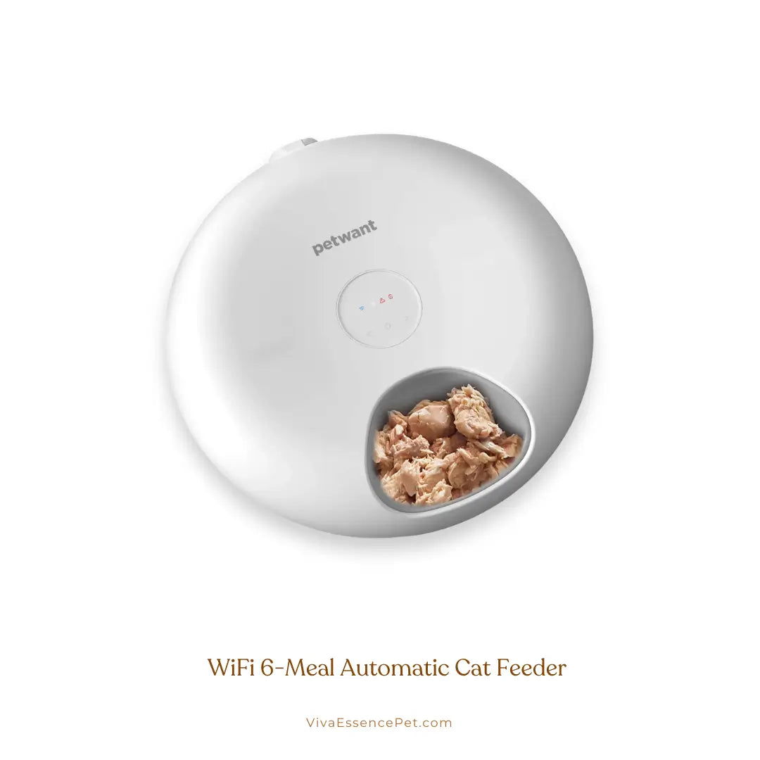 Smart WiFi 6-Meal Cat Feeder With Fresh-Keeping - Viva Essence