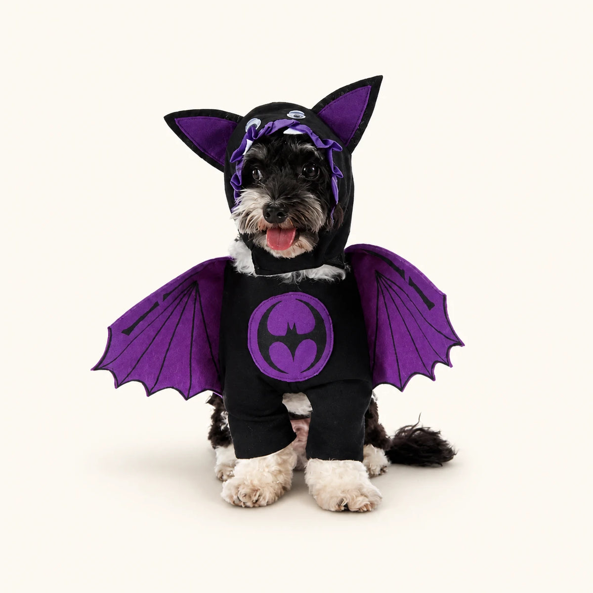 Bat Cat Halloween Pet Costume with bat wings