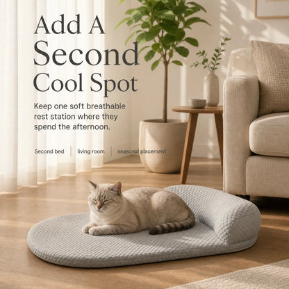 chillbuddy-bed Gris Type Créatif Personnalisé