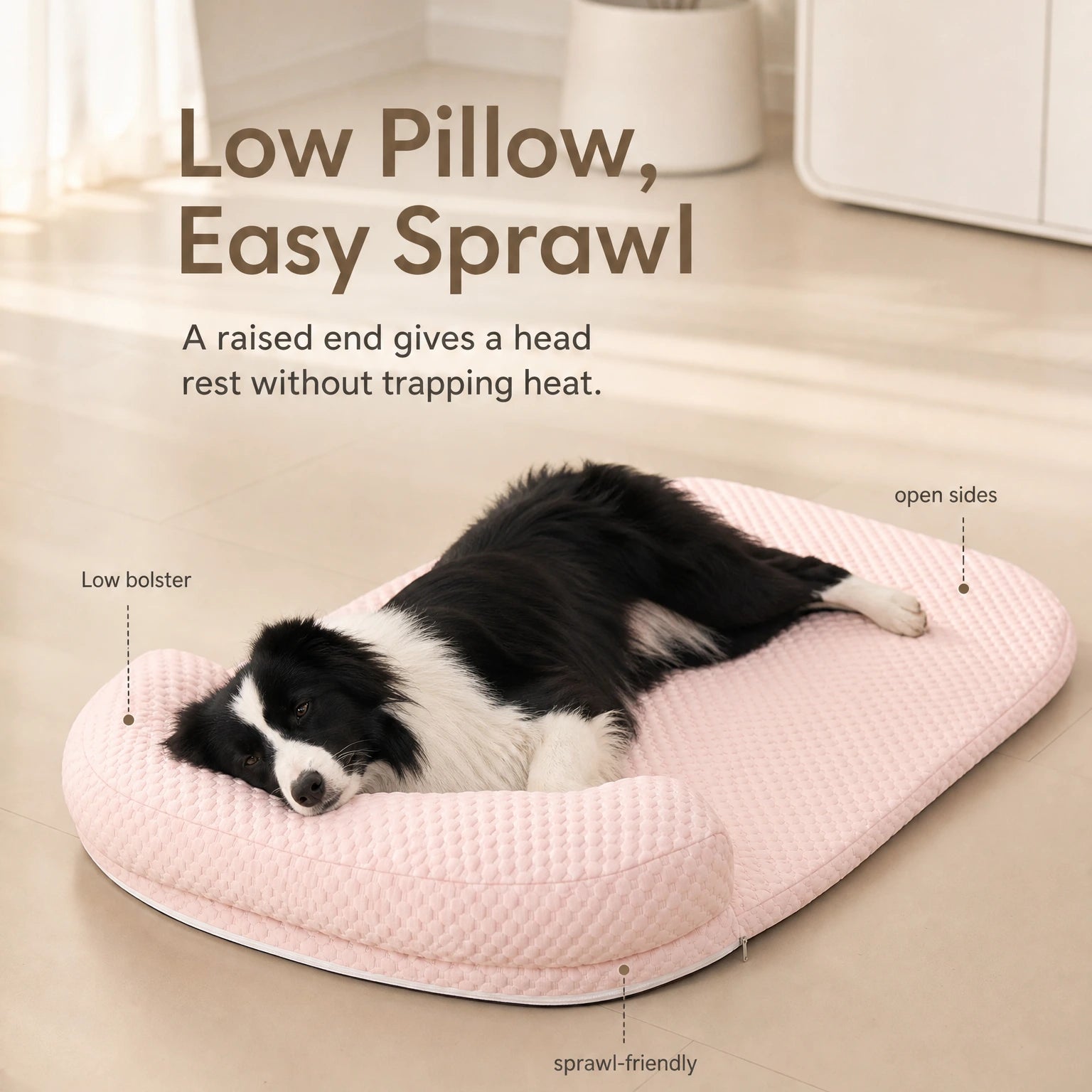 chillbuddy-bed Rose Preuve De Fonctionnalité