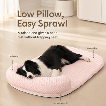 chillbuddy-bed Rose Preuve De Fonctionnalité