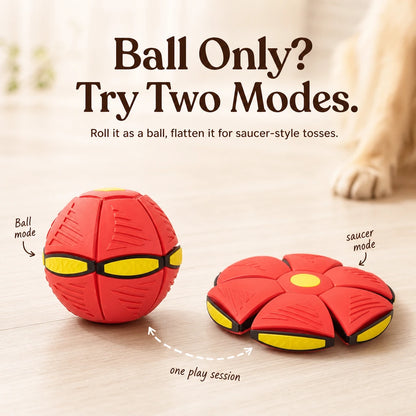 pet-flying-saucer-ball Red / Sans lumière Comparatif
