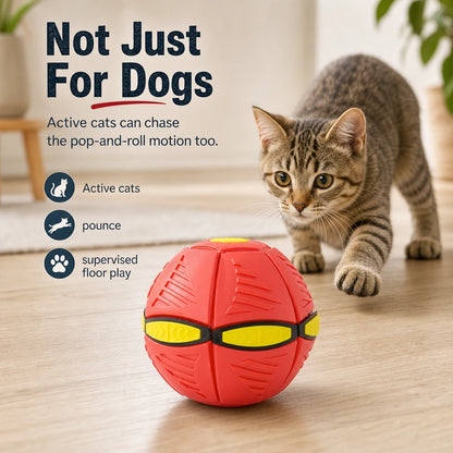 pet-flying-saucer-ball Red / Sans lumière Type Créatif Personnalisé