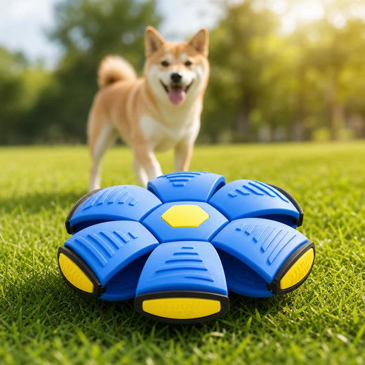 pet-flying-saucer-ball Blue / Without Light Poster