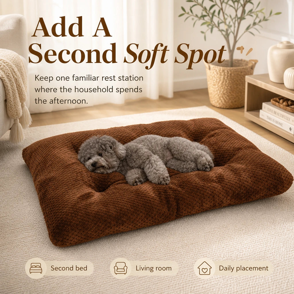 Lit Plush Haven, Ajoutez Un Second Cocon Douillet