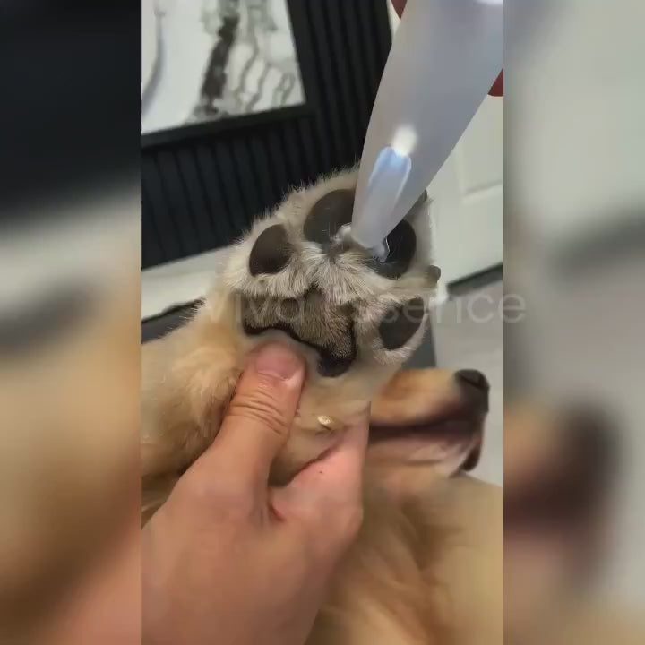 Precision R-angle ceramic blades on the HydroGuard paw groomer safely trimming fur without skin irritation - vivaessencepet