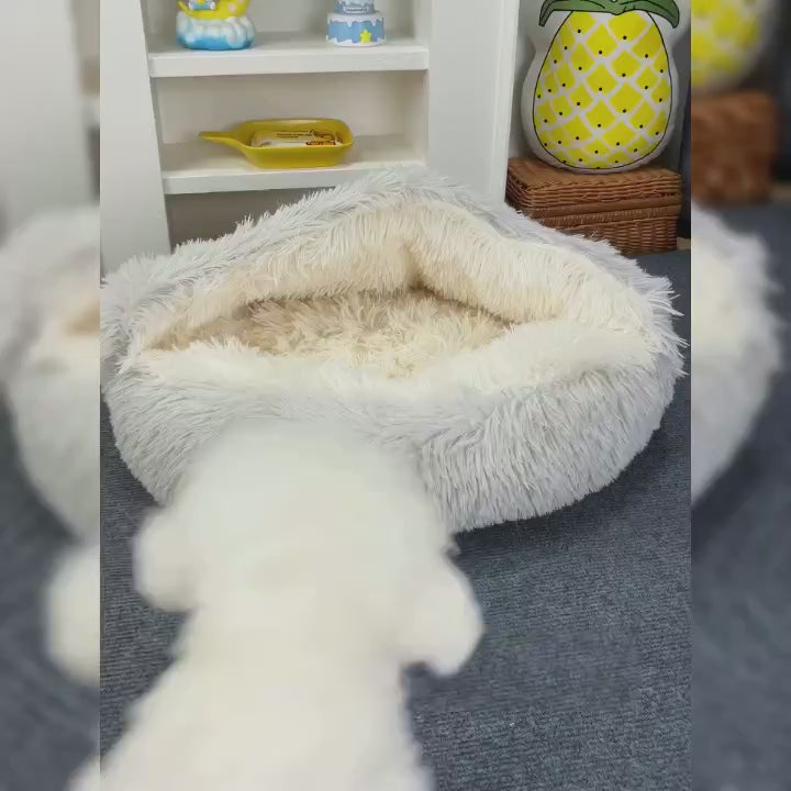 Calming cat bed featuring a raised cushioned rim for optimal joint support and headrest - vivaessencepet