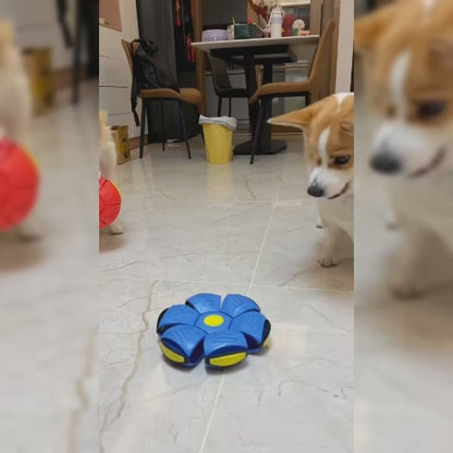 Interactive Flying Saucer Ball for Pets Lights & Dual Play Modes