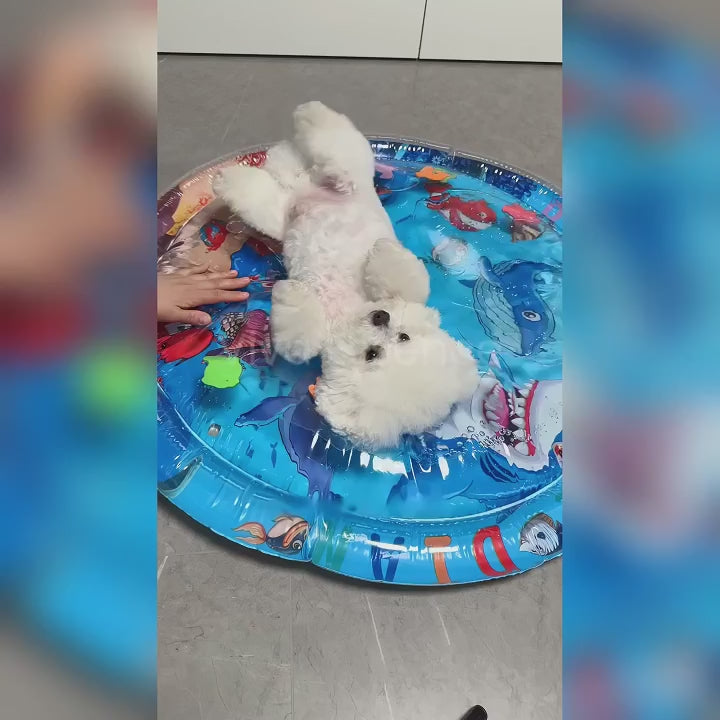 Upgraded Thickness Pet Cooling Water Bed Bichon