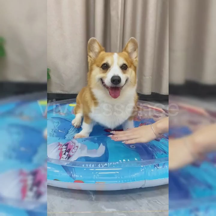 Upgraded Thickness Pet Cooling Water Bed Corgi