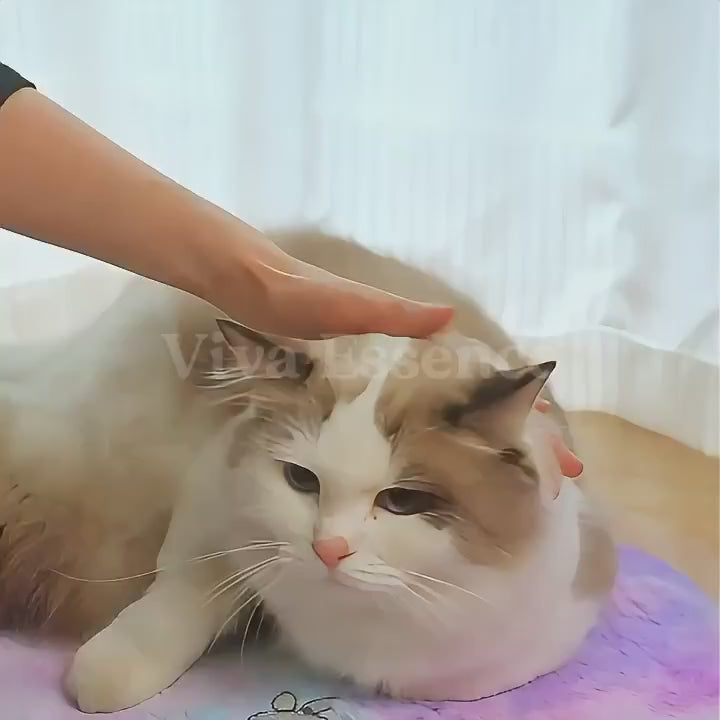 CozyGlow pet heating pad shown as a low-setting warm rest spot for cats and dogs - vivaessencepet