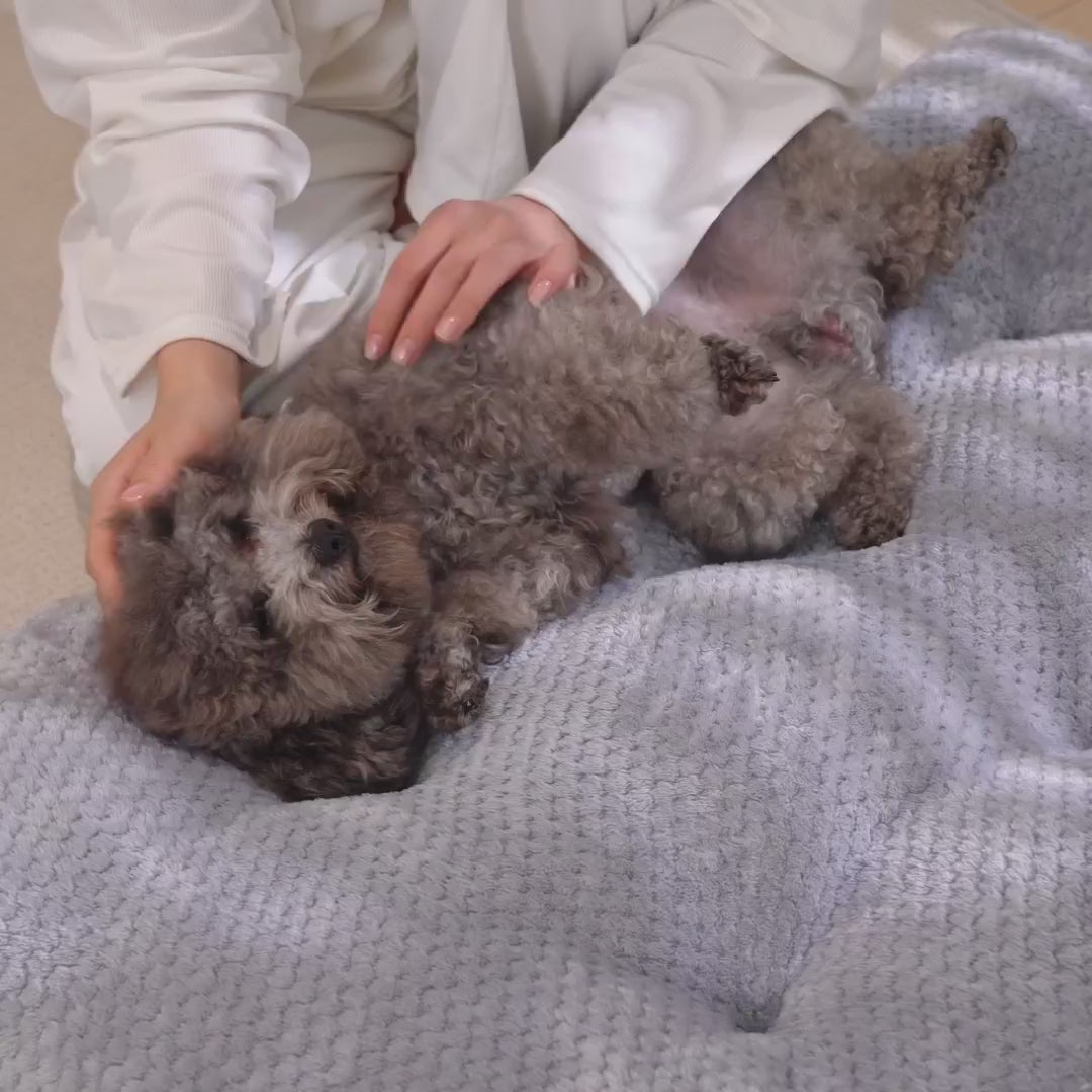 Play the Viva Essence Pet story video