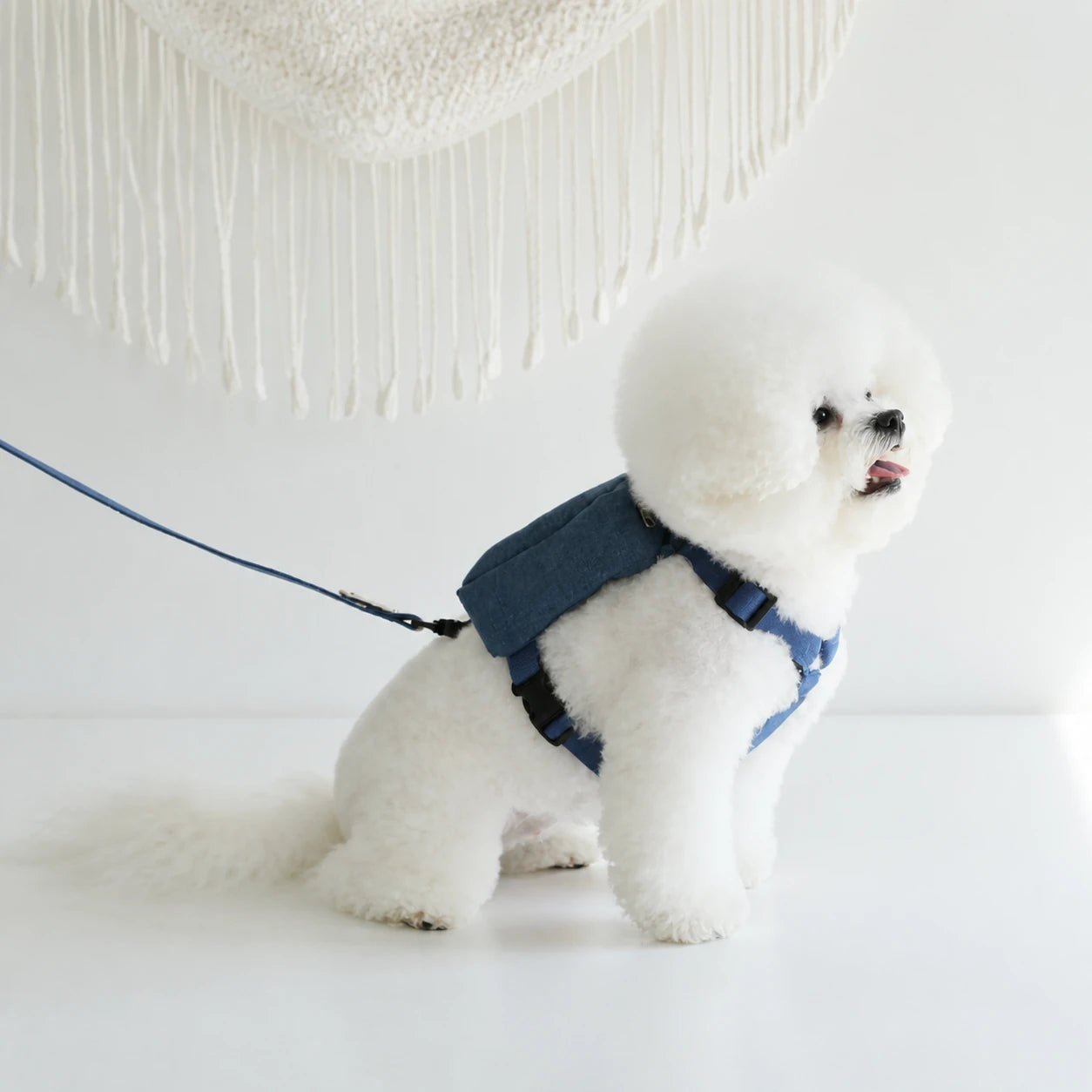 11. Innovativ 2-i-1-väska för hundpromenader i slitstarka och ventilerande material, redo för äventyr – vivaessencepet