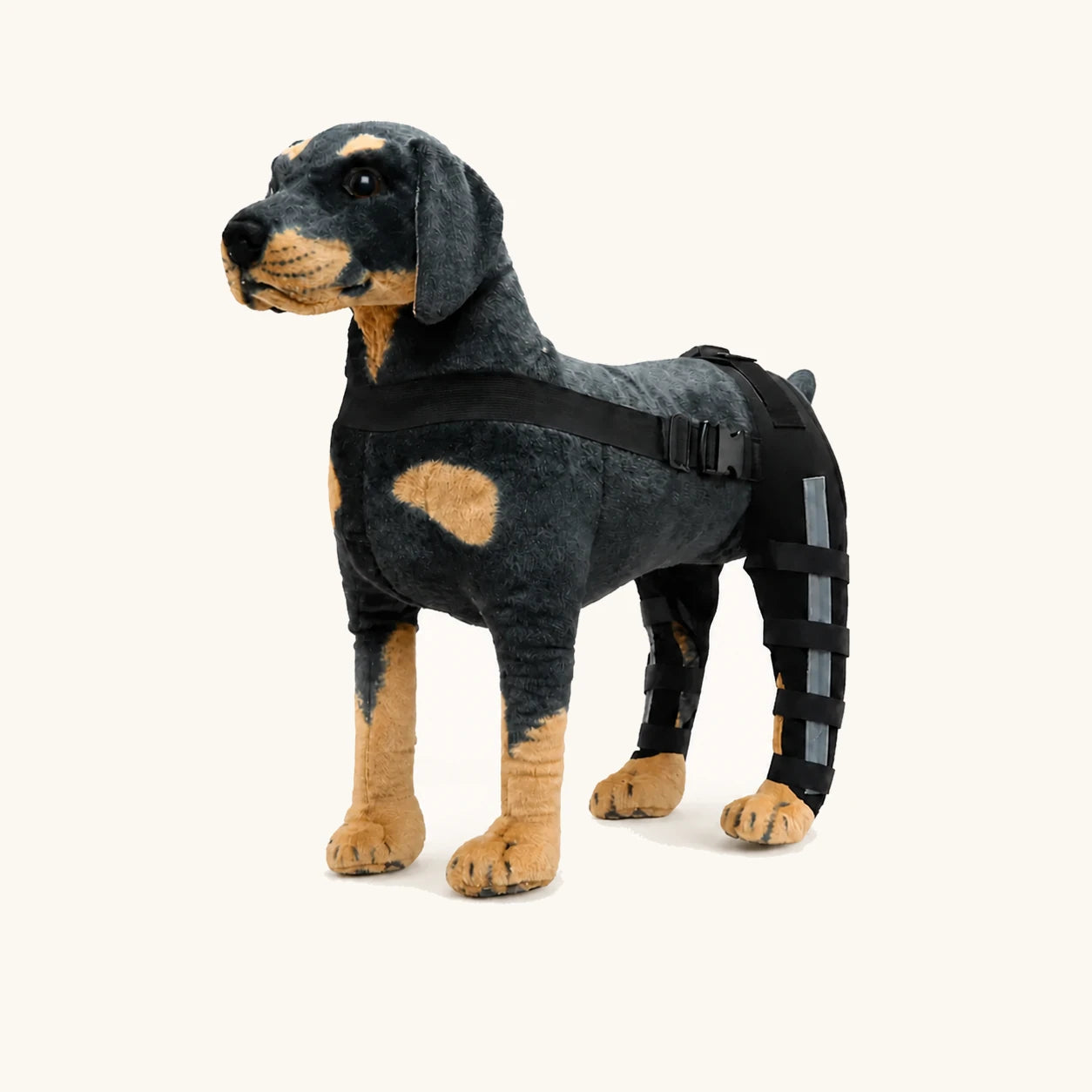 ProCare-hondenbrace voor het been, die een staande hond vanaf de zijkant ondersteunt