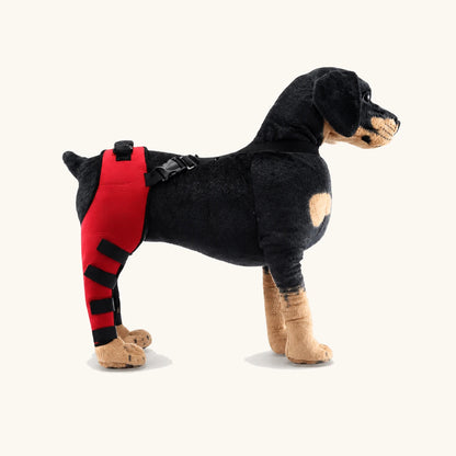 Opciones de talla del soporte para la pata de perro ProCare para un movimiento cuidadoso bajo supervisión — vivaessencepet
