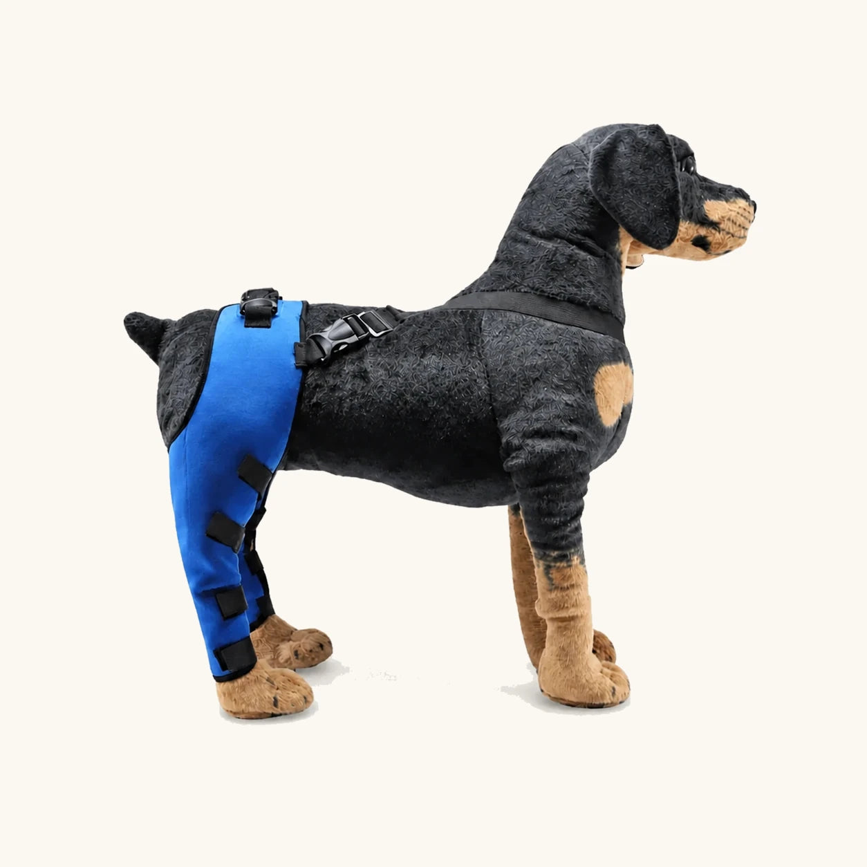 ProCare-hondenbrace voor het been, getoond bij een hond met een blauwe steunhoes