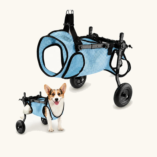 JoyStride dog wheelchair shown with small and medium dog frames