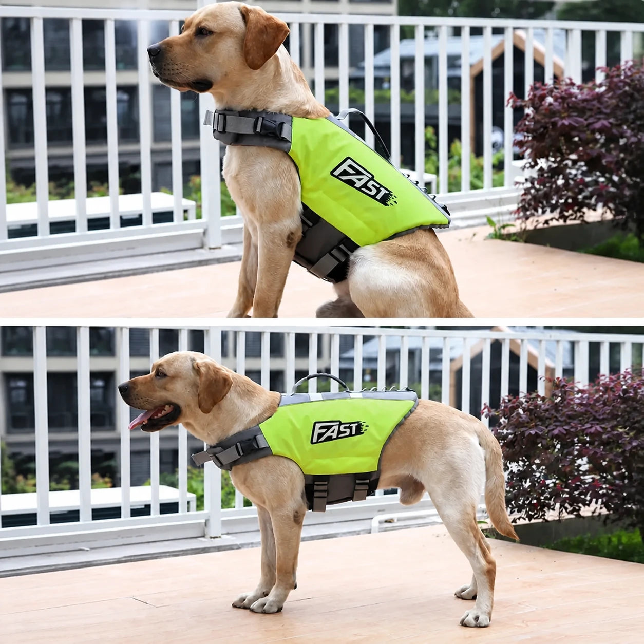 Bovenhandvat van het Fast-Track-hondenzwemvest om de hond met hulp op te tillen – vivaessencepet