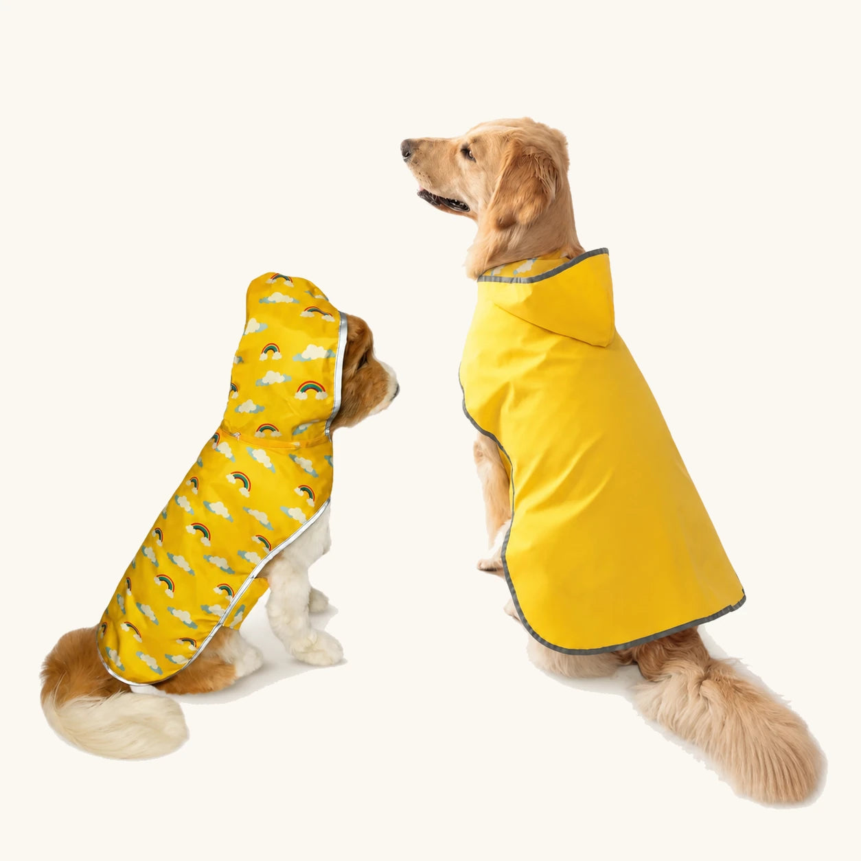 Faixa refletora visível num impermeável para cão em condições de pouca luz
