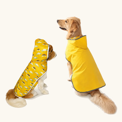 Faixa refletora visível num impermeável para cão em condições de pouca luz
