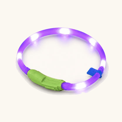 Violetter, wiederaufladbarer AuraGlow-LED-Hundehalsband mit mehrfarbigem Leuchtschlauch