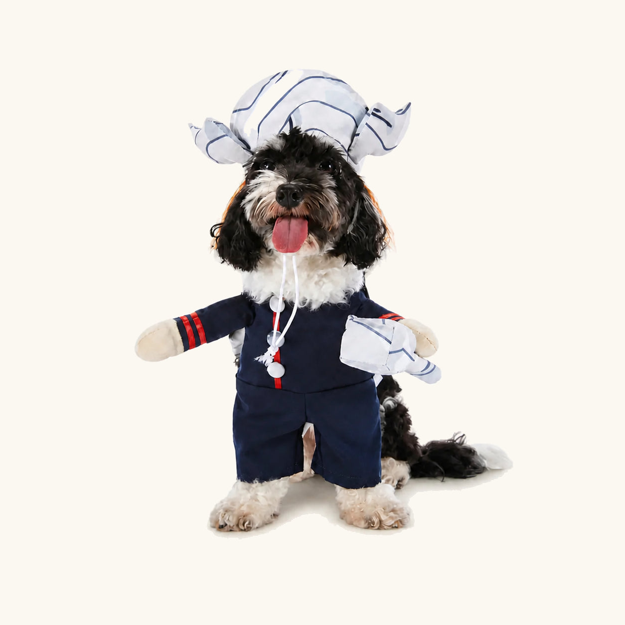 Liten hund i den marinblå Thor-utklädnaden för husdjur till Halloween