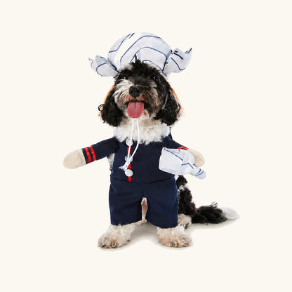 Liten hund i den marinblå Thor-utklädnaden för husdjur till Halloween