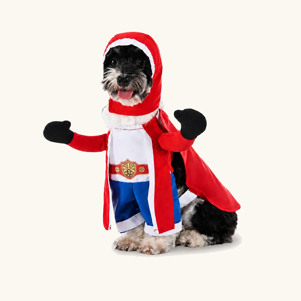 Perro pequeño con disfraz de Halloween para mascotas de boxeador en rojo y azul