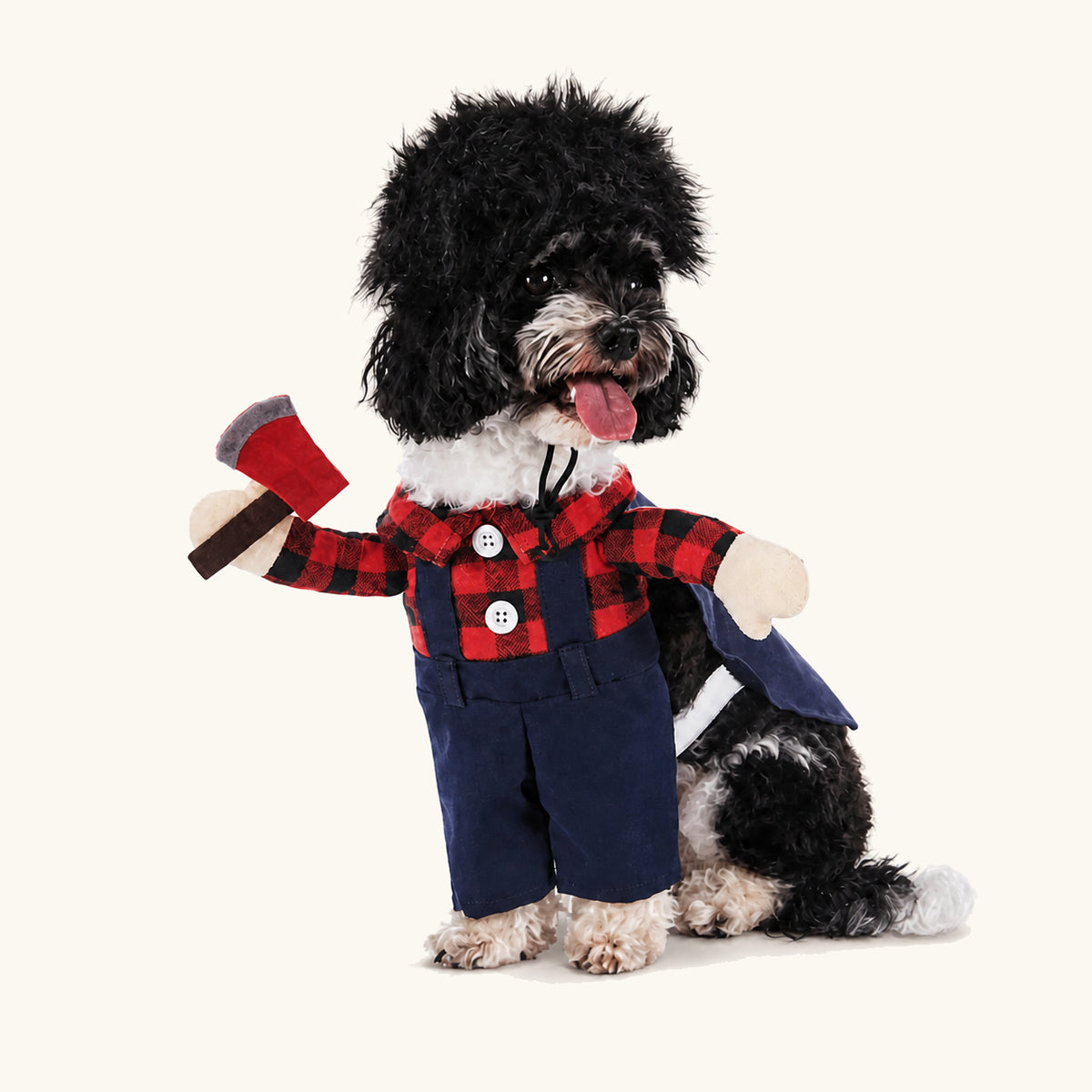 Petit chien portant un costume d’Halloween à carreaux inspiré d’un gangster