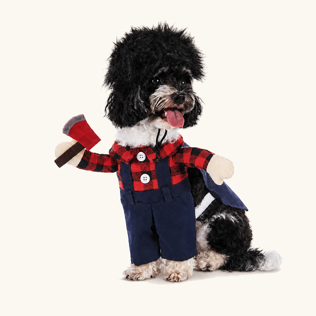Liten hund i den rutiga gangsterutklädnaden för husdjur till Halloween