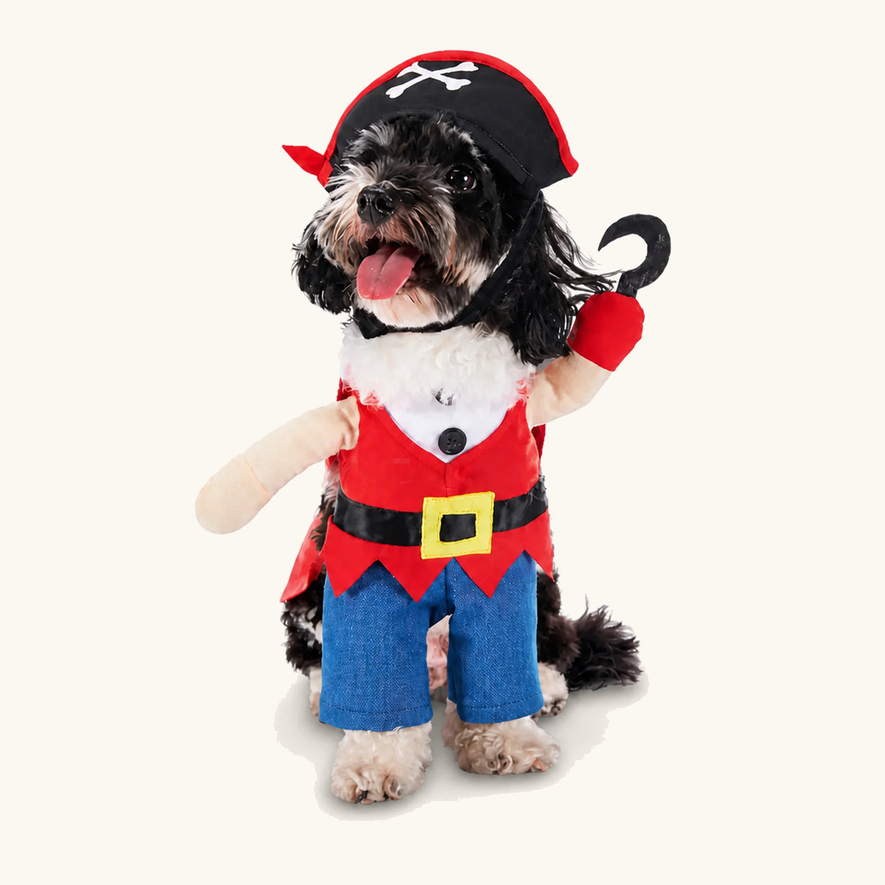 Liten hund i piratutklädnaden för husdjur till Halloween