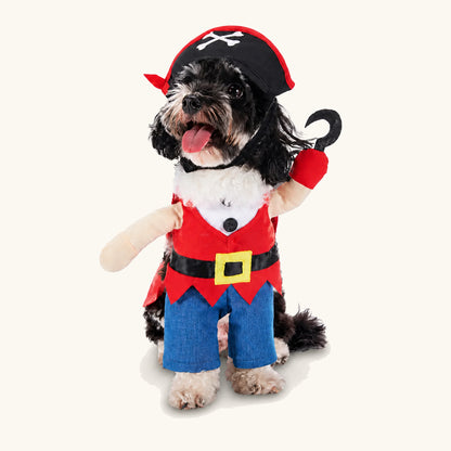 Liten hund i piratutklädnaden för husdjur till Halloween