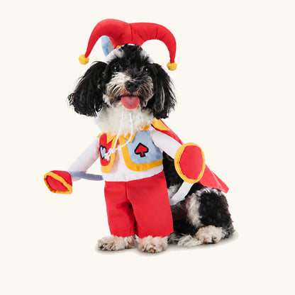 Liten hund i den röd- och vitfärgade clownutklädnaden för husdjur till Halloween