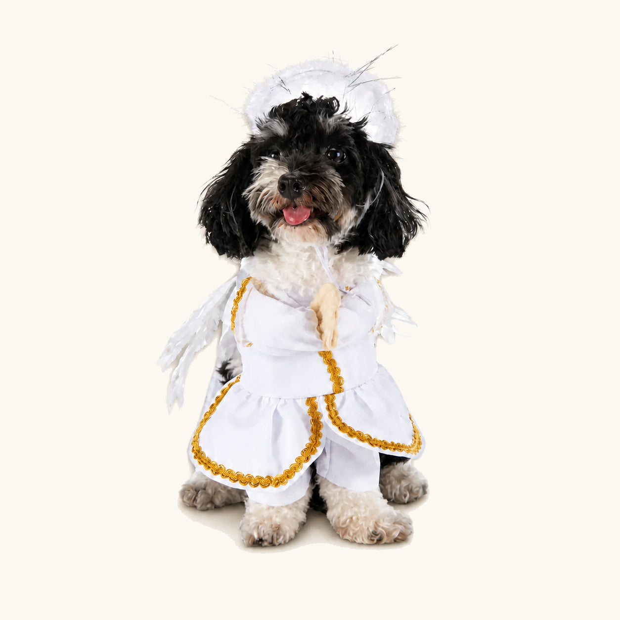 Liten hund i den vita änglautklädnaden för husdjur till Halloween