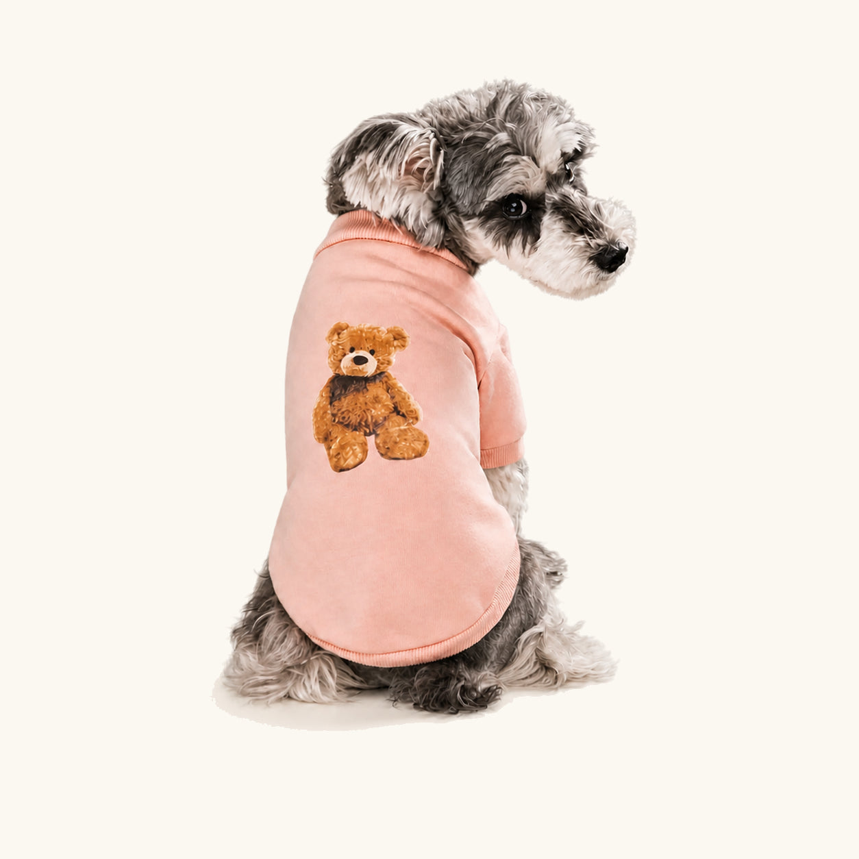 Kleine hond met de lichtroze trui met berenpatroon aan