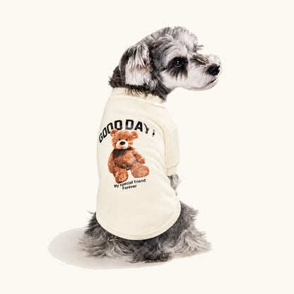 Kleine hond met de witte trui met berenpatroon aan