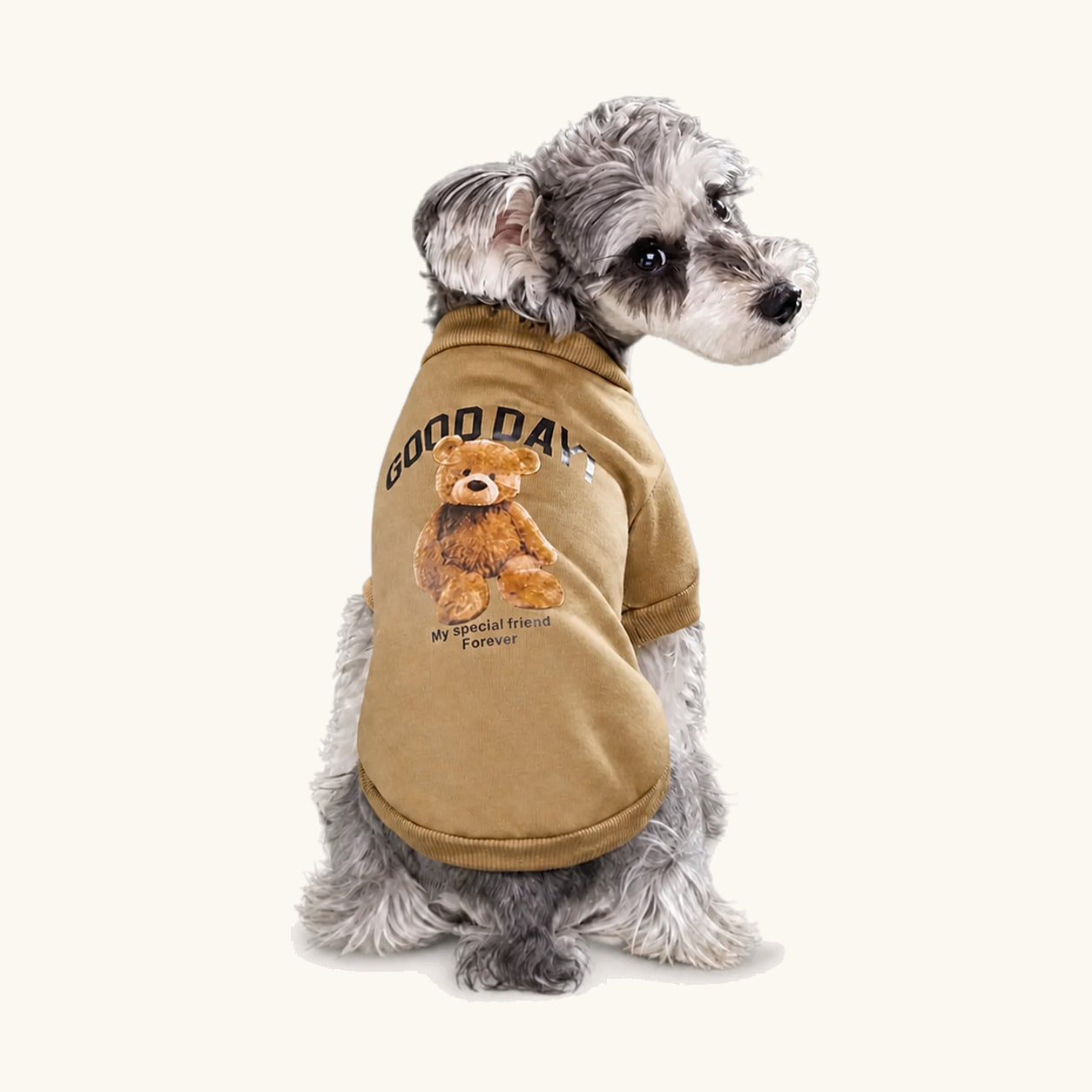 Kleine hond met de kaki trui met berenpatroon aan