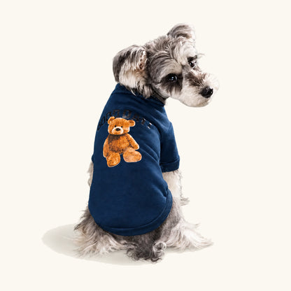 Kleine hond met de donkerblauwe trui met berenpatroon aan