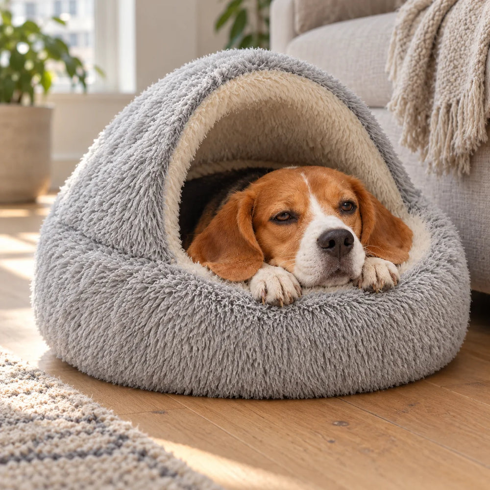 A Beagle tucked into the Snuggle Haven Cozy Cave Pet Bed, size L