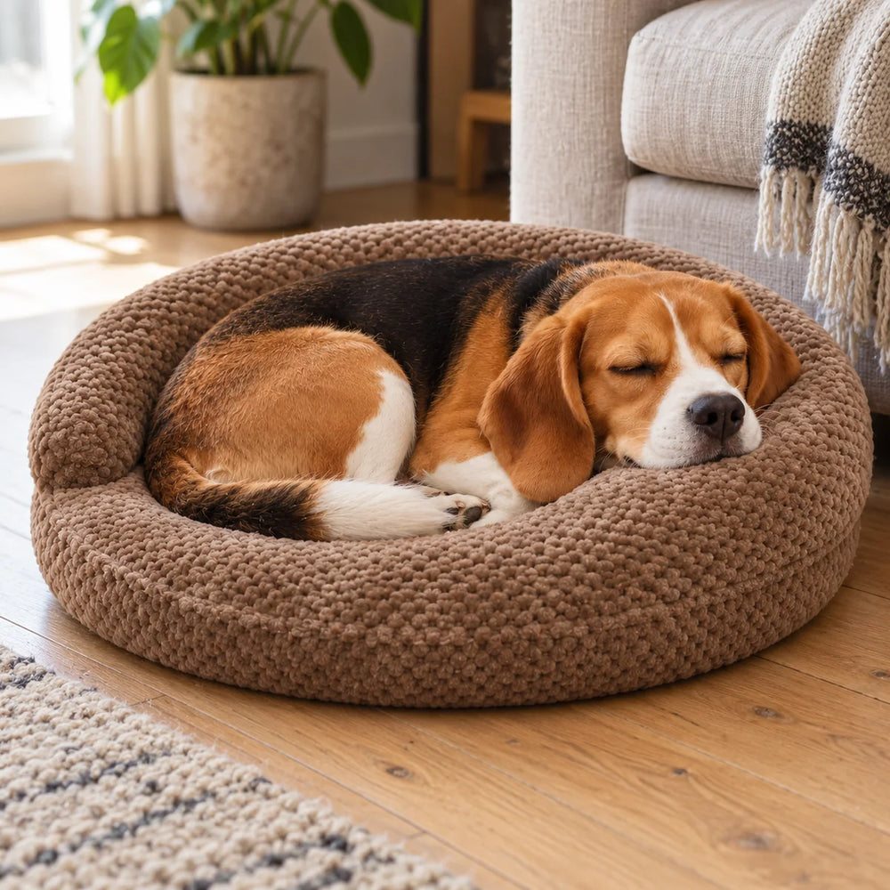 A Beagle curled up asleep in the PlushNest Deluxe Plush Pet Bed, size L