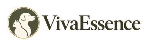 Viva Essence horizontal website logo